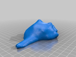 conch shell other featured shellter 3d print model - Mito3D