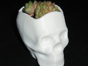 isabelle skull vase sculptures 3d print model - Mito3D