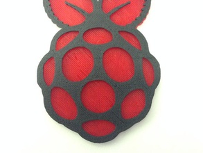 raspberry pi logo gadget 3d print model - Mito3D
