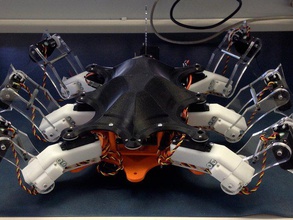 hexapod Robotik 3d print model - Mito3D