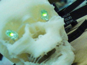 cranio throwie altri ossa 3d print model - Mito3D