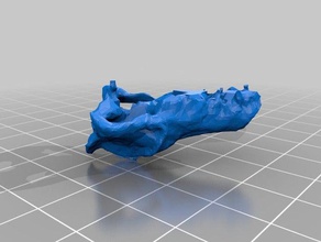 andrewsarchus cranio animali 3d print model - Mito3D