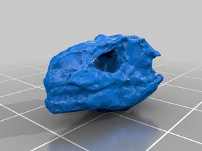 allosaurus kafatası hayvanlar 3d print model - Mito3D