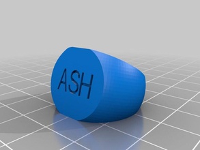 ash anillo los anillos personalizado 3d print model - Mito3D