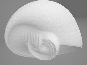 frattale scultura n 1 sculture birdhouse sfida uccelli nido seashell alcune di supporto 3d print model - Mito3D