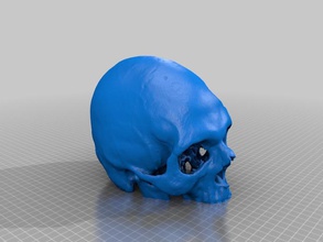 skulp 3d stampa 3d print model - Mito3D