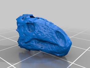 herbivorous dinosaur skull animals 3d print model - Mito3D