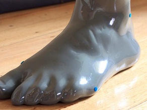 human female linken Fuß Hinzugefügt, rechten Menschen 3d-scan Anatomie Biologie 3d print model - Mito3D