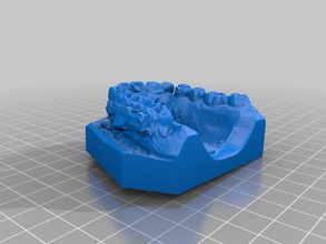 elenco 202 outros ossos dentaduras 3d print model - Mito3D