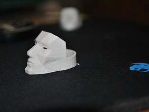 baja poli máscara anillo de edición los anillos 2 3 d la cara moda impar impresora duplicador 3d print model - Mito3D