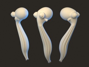 les céphalopodes cabinet de la poignée animaux boring3d le poulpe t1t4 3d print model - Mito3D