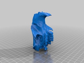 beaver crânio animais 3d print model - Mito3D