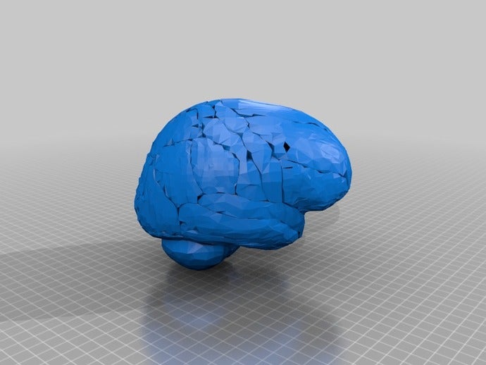 déroutant cerveau humain biologie 3D print model - Mito3D