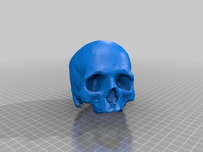 elvis recleaned skull people blender meshlab 3d print model - Mito3D