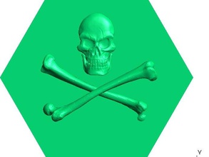 ossa del cranio jolly roger 20 le monete badge 3d print model - Mito3D