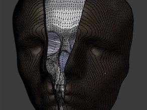 john imprimer visage fendu le crâne sculptures 3d print model - Mito3D