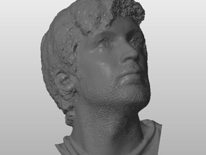 jamie bust people 3d print model - Mito3D