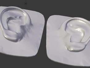 insan kulağı diğer 3d model organik 3d print model - Mito3D