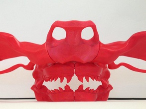 hammerhead skull biology bones cartilage shark 3d print model - Mito3D