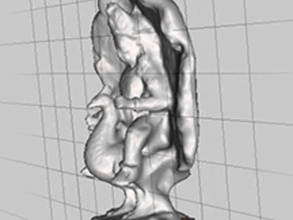 kumara tavuskuşu oturmuş tarar kopyaları met3d 3d print model - Mito3D