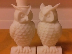 his her owls makerware-friendly sculptures animal pair 3d print model - Mito3D