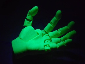 poseable mano humana con 16 puntos de articulación personas posable 3d print model - Mito3D