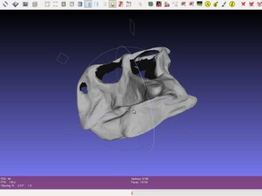psittacosaur skull dinosaur biology open access plos public library science 3d print model - Mito3D