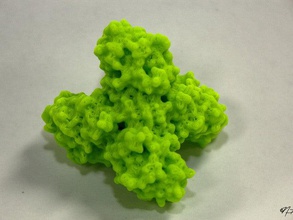 glycolysis series 3 phosphofructokinase biology enzyme pfk protein science 3d print model - Mito3D