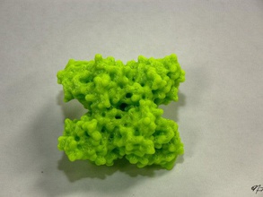 glycolysis series 8 phosphoglycerate mutase biology enzyme pgm protein science 3d print model - Mito3D