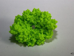 a glicólise série 10 piruvato quinase biologia enzima proteína ciência 3d print model - Mito3D