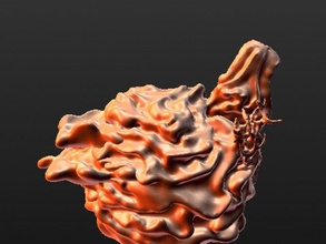 coral reef sculptures reefs 3d print model - Mito3D
