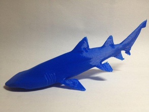 infirmière gris shark sculptures animal 3d print model - Mito3D