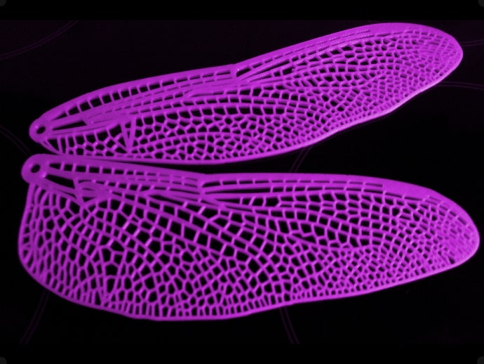 dragonfly wing conjunto animais libélulas dragon fly asas de fada insetos prop 3D print model - Mito3D