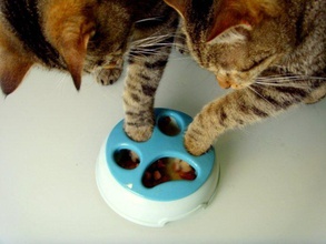 kitty slowfood gli animali domestici cat gattino 3d print model - Mito3D