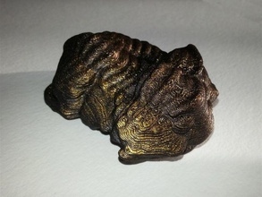 trilobite modèle imprimé en 3d scan biologie 3d print model - Mito3D