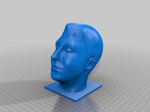franks head sculptures bust 3d print model - Mito3D