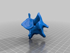 boyun omuru hayvanlar kemik sığır inek memeli kafatası 3d print model - Mito3D