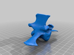 lumbar vertebra animals bone bovine cow mammal spine 3d print model - Mito3D