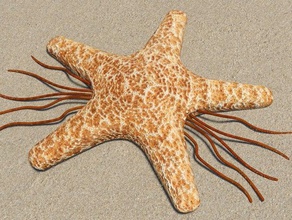 starworm criaturas do mar estranho 3d print model - Mito3D
