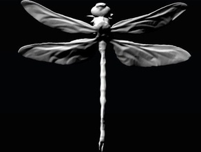 dragonfly v00 durchsucht Replikate 3d print model - Mito3D