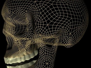 3d du crâne de la biologie l'anatomie l'homme humain 3d print model - Mito3D