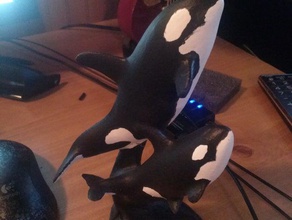 2 killer whales animals 3d print model - Mito3D
