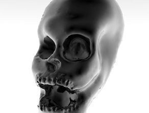 skull ah sculptures 3d print model - Mito3D