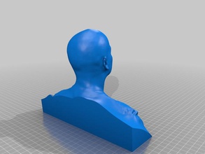 howard other bust head human scanned 3d print model - Mito3D