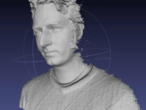 bre pettis 3d d'autres pettis, scan scanner tête auto 3d print model - Mito3D