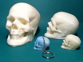 elvis skull resurrected scans replicas 3d print model - Mito3D