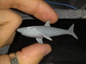 grand requin blanc des dents humaines sculptures les nageoires du poisson mâchoires 3d print model - Mito3D