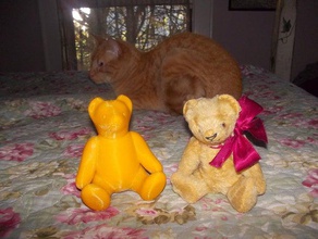 superteddy animals bear teddy 3d print model - Mito3D