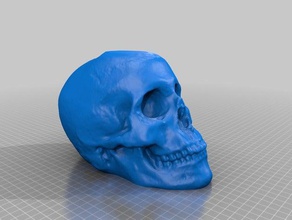 Schädel 2013-10-01 0434 Uhr durchsucht Replikate menschlicher makerbotdigitizer 3d print model - Mito3D
