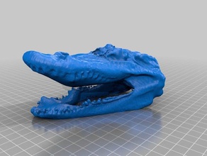 tête de crocodile art makerbotdigitizer scan 3d print model - Mito3D
